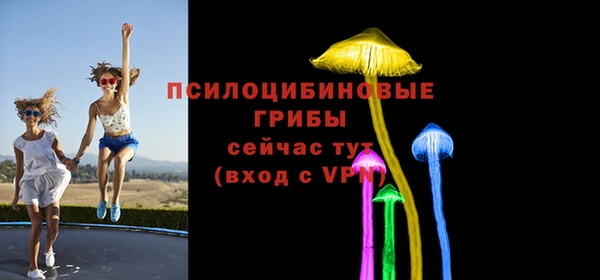 прущая мука Арсеньев
