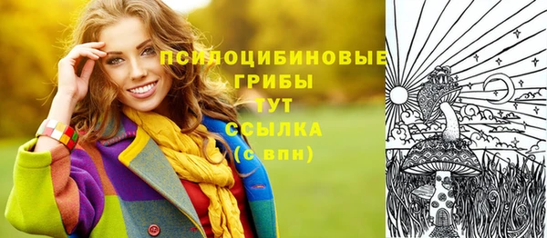 прущий лед Армянск