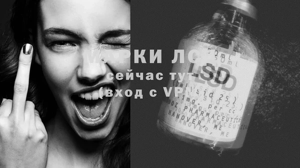 дурь Аркадак