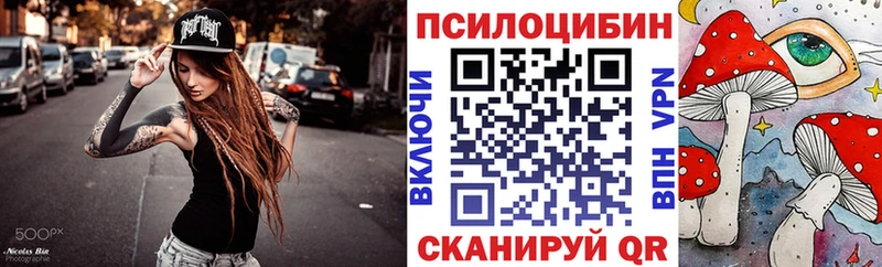 Псилоцибиновые грибы Psilocybine cubensis Ростов